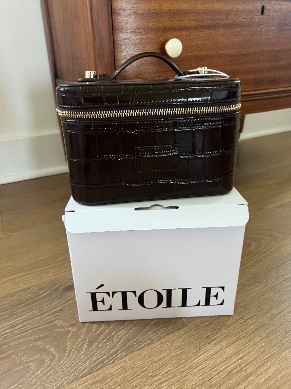 Etoile mini vanity case/ Madewell makeup pouch